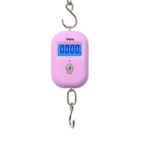 Portable Hanging Hook 50Kg/5g Precision Electronic Digital Scale Crane Scale Weight Pocket Scale Luggage Scale (Color: pink)