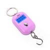 Portable Hanging Hook 50Kg/5g Precision Electronic Digital Scale Crane Scale Weight Pocket Scale Luggage Scale